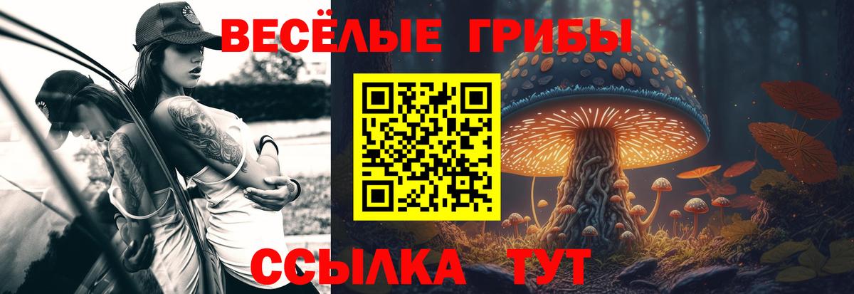 Долгопрудный  Псилоцибиновые грибы прущие грибы  Вход с VPN 