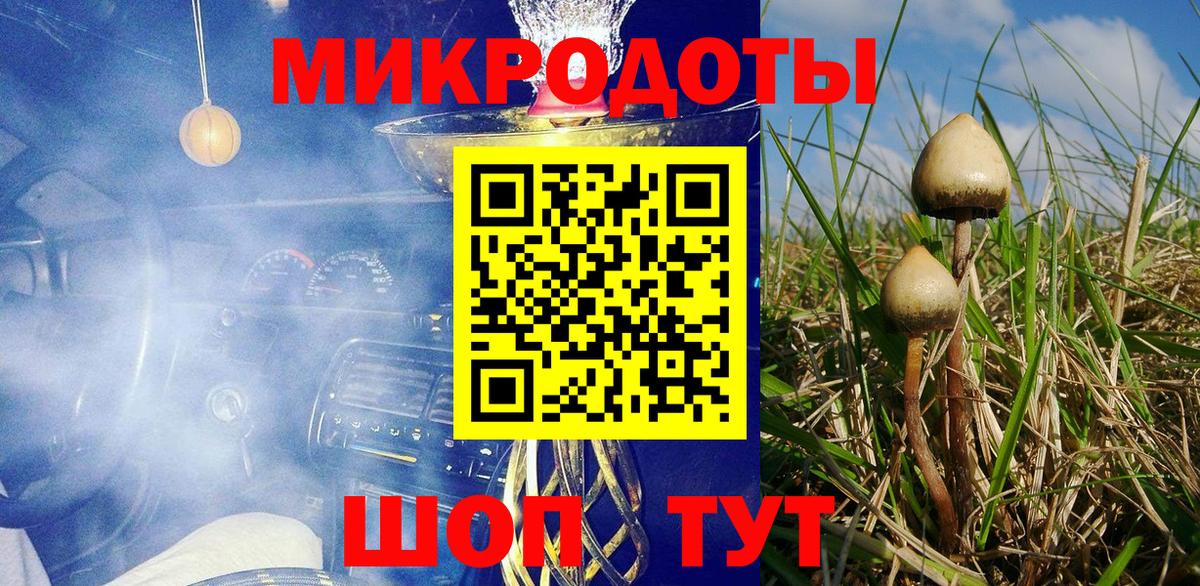 Псилоцибиновые грибы прущие грибы Долгопрудный